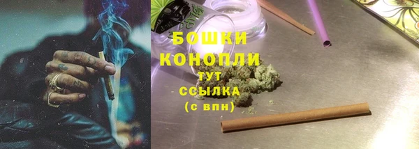 трава Наволоки