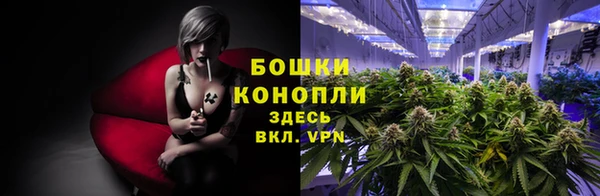 дурь Абаза