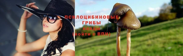 прущий лед Алексин