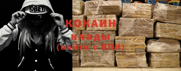 трава Наволоки